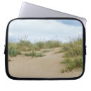 Recherche de dune Été