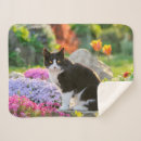 Search for black and white cat blankets Cute