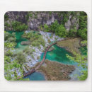 Recherche de lacs tapis souris Vert