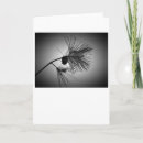 Search for pine branch cards Nature