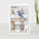 Search for blue jay cards Bird