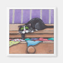 Search for treasurable magnets Kitty