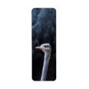 Search for ostrich return address labels Animal