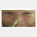 Search for mantis stickers Cute