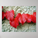Recherche de rampant posters Nature