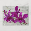 Recherche de fleurs exotiques cartes postales Toute personne
