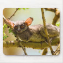 Recherche de gallos tapis souris Images gallo