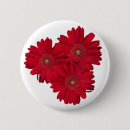 Search for red daisy buttons Nature