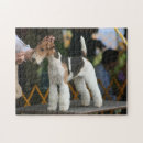 Recherche de fox puzzles Chiot
