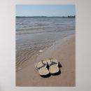 Search for flop art Shore