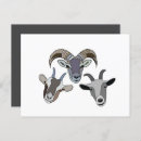 Recherche de chèvres mignonnes cartes postales Pour elle