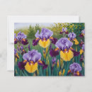 Search for yellow iris Purple iris flowers