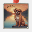 Search for boxer dog ornaments Pets