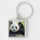 Search for resting keychains Wildlife