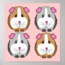 Search for guinea pig posters Cavies