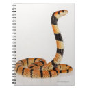 Recherche de note dange Animal