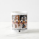 Search for australian shepherds mugs For pets