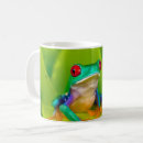 Search for costa rica mugs Agalychnis callidryas