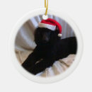 Search for red poodle ornaments Santa