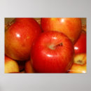 Search for gala posters Photography