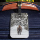 Recherche de bison Voyage