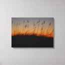 Search for sea oat art Sunset