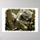 Search for koala nursery decor Sleep