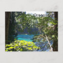 Search for clearing postcards Lake