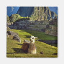 Search for andes mountain magnets Machu picchu
