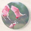 Recherche de habitat dessous de verres Oiseau