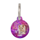 Search for single pet supplies Dogs