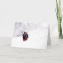 Search for blizzards cards Photography