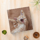 Search for ginger binders Pet