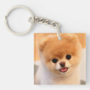 Search for pomeranian dog keychains Cute