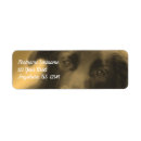 Search for black labs return address labels Retrievers