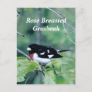 Recherche de cambriolage cartes postales Rouge