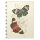 Search for butterfly notebooks Orange