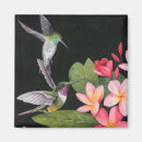 Search for plumeria magnets Flowers