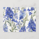 Recherche de delphinium cartes postales Fleurs