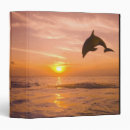 Search for jumping binders Animal