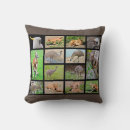 Recherche de animaux australiens coussins Kangourou