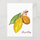 Search for cacao postcards Bean