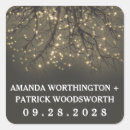 Search for tree branch stickers Forest