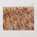 Recherche de utah cartes postales Randonnée