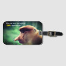 Search for primates accessories Humour