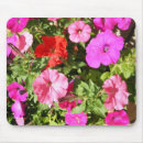 Search for purple petunia electronics Pink