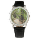 Search for path watches Landscape