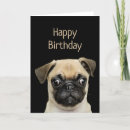 Search for funny pug birthday cards Pet