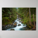 Search for west fork Nature
