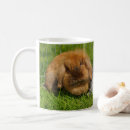 Search for pet rabbit mugs Easter
